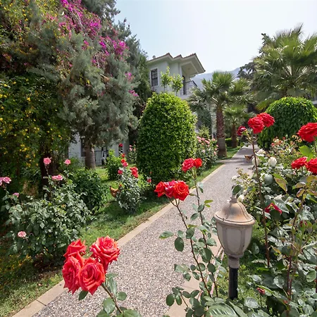 Greenland 4* 厄吕代尼兹